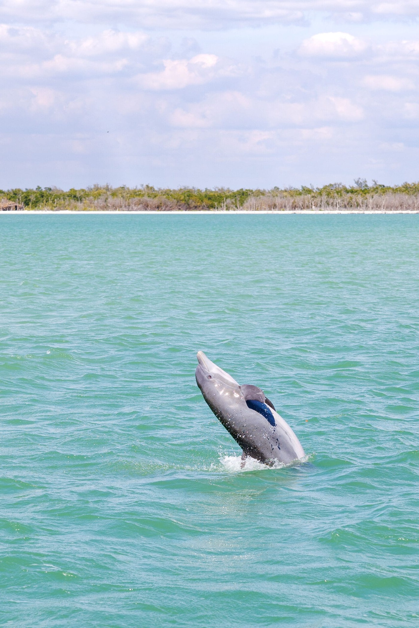 AA Naples Boat Rental - Naples, FL