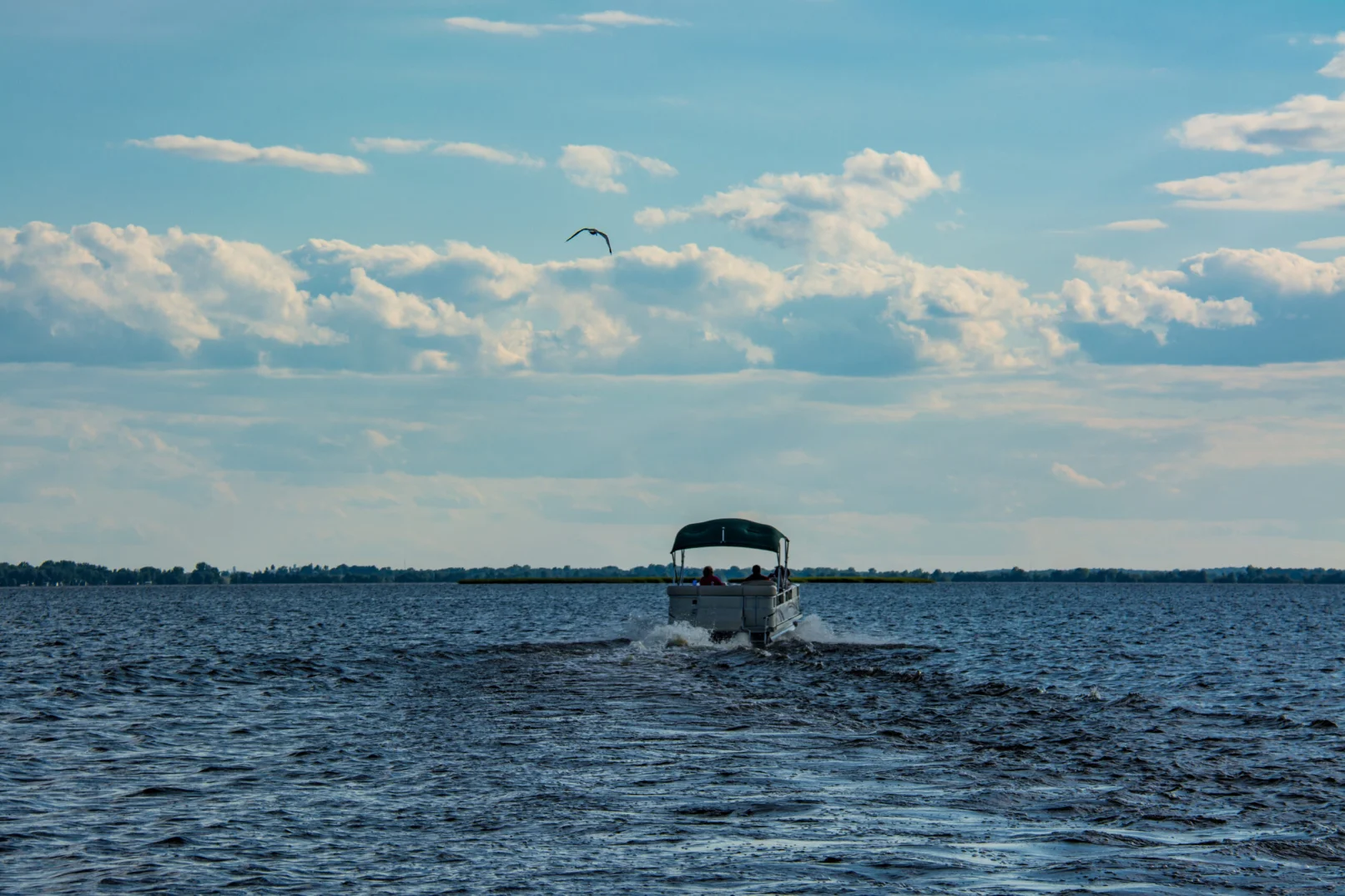 Pontoon boat rental in Naples, FL (photo 2)